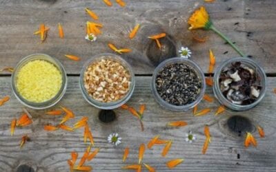 CONSEJOS DEL AYURVEDA PARA FORTALECER NUESTRO SISTEMA INMUNE EN OTOÑO