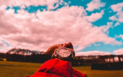 EL RELOJ AYURVÉDICO