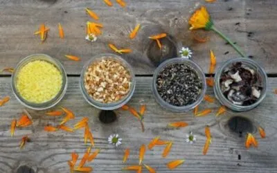 CONSEJOS DEL AYURVEDA PARA FORTALECER NUESTRO SISTEMA INMUNE EN OTOÑO