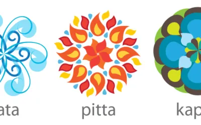 QUE SON LOS DOSHAS EN AYURVEDA