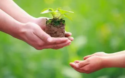 LEY ESPIRITUAL DEL DAR Y RECIBIR