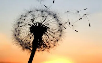 COMO SOLTAR Y DEJAR IR: EL ARTE DE LA RENDICIÓN