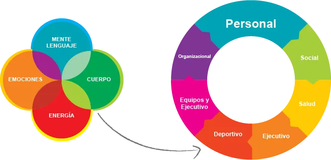 TENDENCIAS DE COACHING HOLISTICO: DESCUBRE LAS HERRAMIENTAS QUE TRANSFORMARÁN TU CAMINO HOLISTICO EN 2025