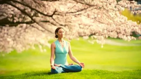 COMO FORMARTE EN MEDITACIÓN Y MINDFULNESS Y SALIR DEL PILOTO AUTOMATICO